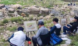 医美新闻爆料内容怎么写,揭秘明星整形内幕与行业乱象